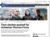 Bild zum Artikel: Blutige Versuche: Tiere sterben qualvoll für Schweizer Pharma-Firma