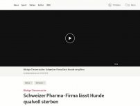 Bild zum Artikel: Schweizer Pharma-Firma lässt Hunde qualvoll sterben