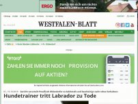 Bild zum Artikel: Pr. Oldendorf: Hundetrainer tritt Labrador zu Tode