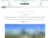 Bild zum Artikel: Tragisches Ende: Seeadler kommt in Windrad in der Uckermark zu Tode