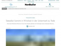 Bild zum Artikel: Tragisches Ende: Seeadler kommt in Windrad in der Uckermark zu Tode