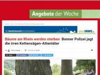 Bild zum Artikel: Bäume am Rhein werden sterben: Bonner Polizei jagt die irren Kettensägen-Attentäter