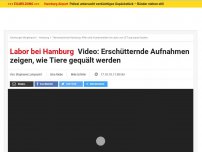 Bild zum Artikel: Video aus Labor bei Hamburg: Erschütternde Aufnahmen zeigen, wie Tiere gequält werden