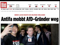 Bild zum Artikel: Bernd Lucke musste Gelände verlassen - Uni-Proteste gegen AfD-Gründer