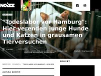 Bild zum Artikel: 'Todeslabor vor Hamburg': Hier verenden jungen Hunde, Katzen in grausamen Tierversuchen