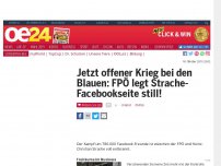 Bild zum Artikel: FPÖ legt „HC Strache“-Fanseiten in den Sozialen Medien still