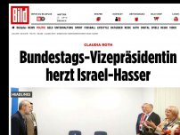Bild zum Artikel: Claudia Roth - Bundestags-Vizepräsidentin herzt Israel-Hasser