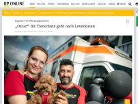 Bild zum Artikel: Dogman-Tierhilfe ausgezeichnet : „Oscar“ für Tierschutz geht nach Leverkusen