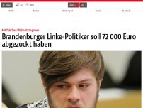Bild zum Artikel: Brandenburger Linke-Politiker soll 72 000 Euro abgezockt haben