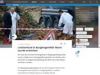 Bild zum Artikel: Leichenfund in Burglengenfeld: Mann wurde erstochen