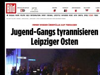 Bild zum Artikel: Brutal und gefährlich - Jugendgangs tyrannisieren Leipziger Osten