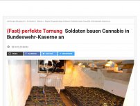 Bild zum Artikel: (Fast) perfekte Tarnung: Soldaten bauen Cannabis in Bundeswehr-Kaserne an