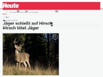 Bild zum Artikel: Jäger schießt auf Hirsch, Hirsch tötet Jäger
