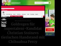 Bild zum Artikel: Goldregen für Supertalent-Kandidat Christian Stoinevs tierischen Handstand mit Chihuahua Percy