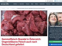 Bild zum Artikel: Gammelfleisch-Skandal in Österreich: Ungenießbares Fleisch auch nach Deutschland geliefert