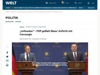 Bild zum Artikel: „Unfassbar“ - FDP kritisiert Maas‘ Auftritt mit Cavusoglu scharf