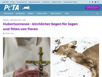 Bild zum Artikel: Hubertusmesse – kirchlicher Segen für sinnloses Jagen und Töten von Tieren