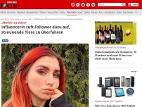 Bild zum Artikel: „Überfahrt sie einfach“ - Influencerin ruft Follower dazu auf, streunende Tiere zu überfahren