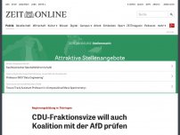 Bild zum Artikel: Regierungsbildung in Thüringen: CDU-Fraktionsvize will auch Koalition mit der AfD prüfen