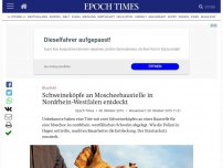 Bild zum Artikel: Schweineköpfe an Moscheebaustelle in Nordrhein-Westfalen entdeckt