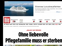 Bild zum Artikel: „Balou“ hat Rücken - Ohne liebevolle Pflegefamilie muss er sterben