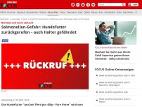 Bild zum Artikel: Bei Rewe und Toom verkauft - Salmonellen-Gefahr: Hundefutter zurückgerufen – auch Halter gefährdet