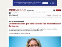 Bild zum Artikel: Rüge vom Bundesrechnungshof: Umweltministerium gibt mehr als eine halbe Milliarde Euro für Berater aus