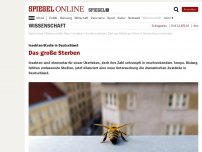Bild zum Artikel: Insekten-Studie in Deutschland: Das große Sterben