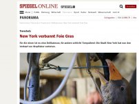Bild zum Artikel: Tierschutz: New York verbannt Foie Gras