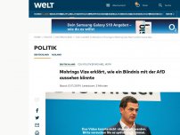 Bild zum Artikel: Mohrings Vize erklärt, wie ein Bündnis mit der AfD aussehen könnte