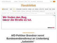 Bild zum Artikel: Bundestagsabgeordneter: AfD-Politiker Brandner nennt Bundesverdienstkreuz an Lindenberg „Judaslohn“