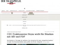 Bild zum Artikel: CDU Fraktionsvize Heym wirbt für Bündnis mit AfD und FDP