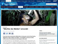 Bild zum Artikel: Amazonas: 'Wächter des Waldes' ermordet