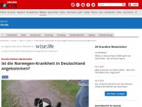 Bild zum Artikel: Hunde sterben reihenweise - Ist die Norwegen-Krankheit in Deutschland angekommen?