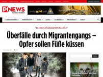Bild zum Artikel: 'Dominanzkriminalität' Überfälle durch Migrantengangs – Opfer sollen Füße küssen