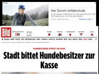 Bild zum Artikel: Hundesteuer steigt ab 2020 - Stadt bittet Hundebesitzer zur Kasse