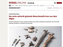 Bild zum Artikel: Evolutionsforschung: Der erste aufrecht gehende Menschenaffe kam aus Bayern