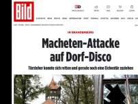 Bild zum Artikel: In Brandenburg - Macheten-Attacke auf Dorf-Disco in Trebbin