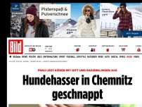 Bild zum Artikel: Hundehass in Chemnitz - Frau legt Köder mit Gift und Rasierklingen aus