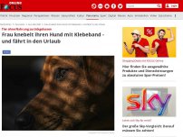 Bild zum Artikel: Tier ohne Nahrung zurückgelassen - Frau knebelt ihren Hund mit Klebeband - und geht dann in den Urlaub