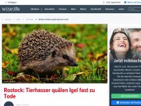Bild zum Artikel: Rostock: Tierhasser quälen Igel fast zu Tode