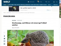 Bild zum Artikel: Strafanzeige, weil Männer mit einem Igel Fußball spielten