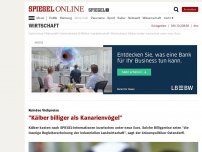 Bild zum Artikel: Ruinöse Viehpreise: 'Kälber billiger als Kanarienvögel'