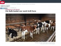 Bild zum Artikel: Preiseinbruch trifft Bauern: Ein Kalb kostet nur noch 8,49 Euro