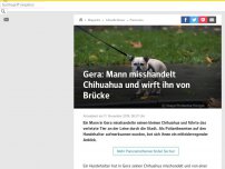 Bild zum Artikel: Gera: Mann misshandelt Chihuahua und wirft ihn von Brücke