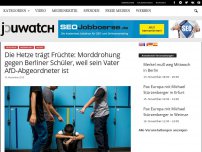 Bild zum Artikel: Die Hetze trägt Früchte: Morddrohung gegen Berliner Schüler, weil sein Vater AfD-Abgeordneter ist