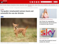 Bild zum Artikel: In Gera - Tierquäler misshandelt seinen Hund und schmeißt ihn von der Brücke