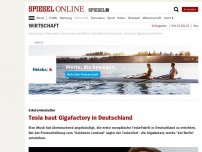 Bild zum Artikel: E-Auto-Hersteller: Tesla baut Gigafactory in Deutschland