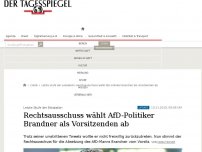 Bild zum Artikel: Rechtsausschuss wählt AfD-Mann Stephan Brandner ab