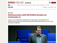 Bild zum Artikel: Bundestag: Rechtsausschuss wählt AfD-Politiker Brandner als Vorsitzenden ab